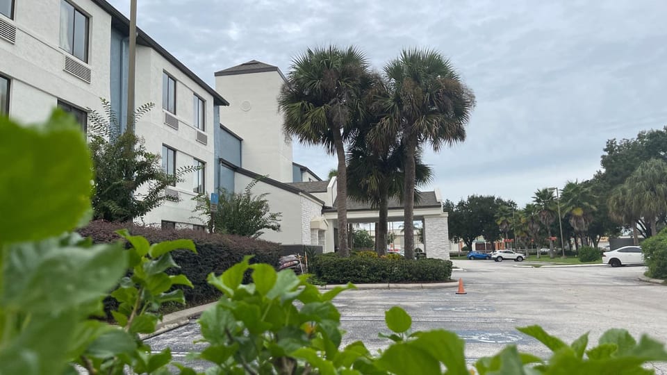 Property building, Neighbourhood, Garden, Street view, Parking