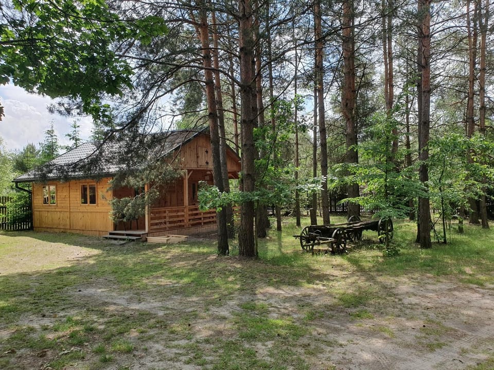 ROZTOCZE u ALEKSA SUSIEC - JACUZII , GORĄCA BALIA!!! House in Lviv Oblast