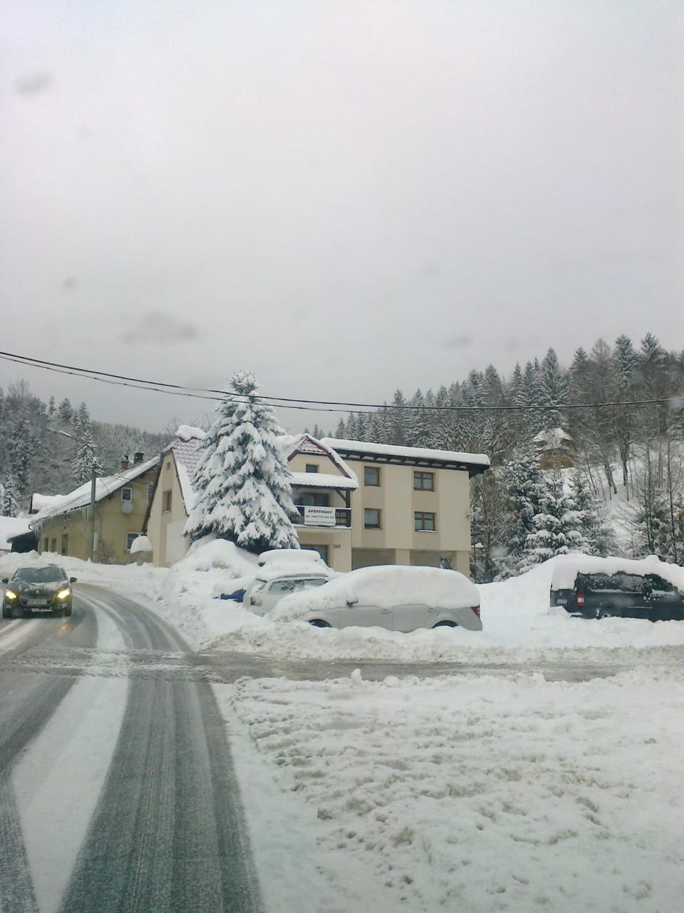 Winter