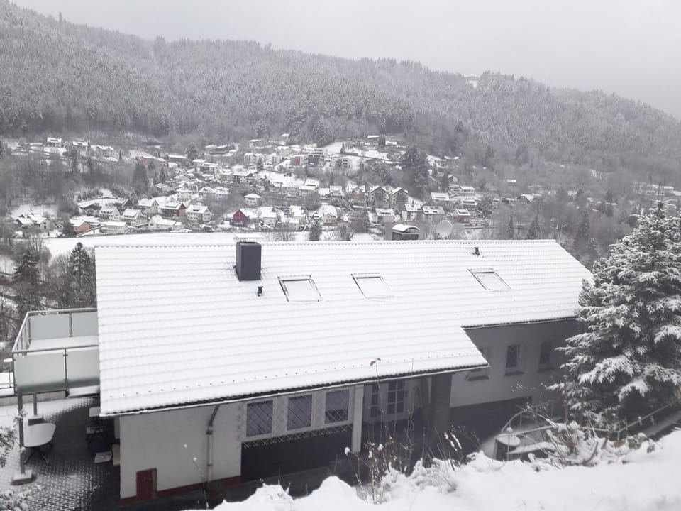 Property building, Winter, Mountain view