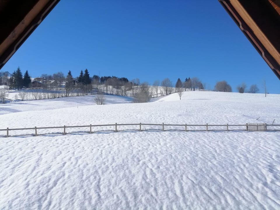 Natural landscape, Winter