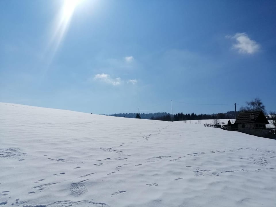 Natural landscape, Winter