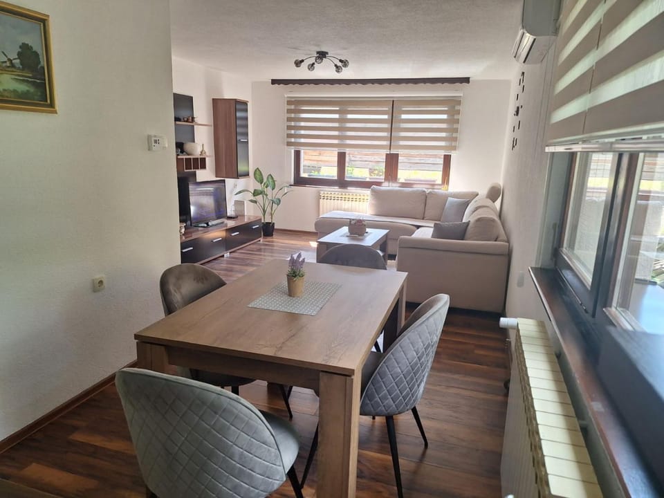 Living room, kitchen