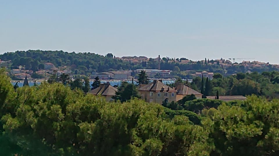 View (from property/room)