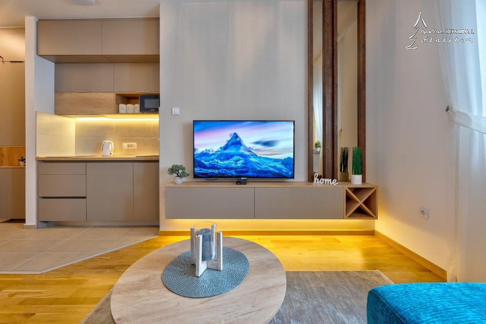 TV and multimedia