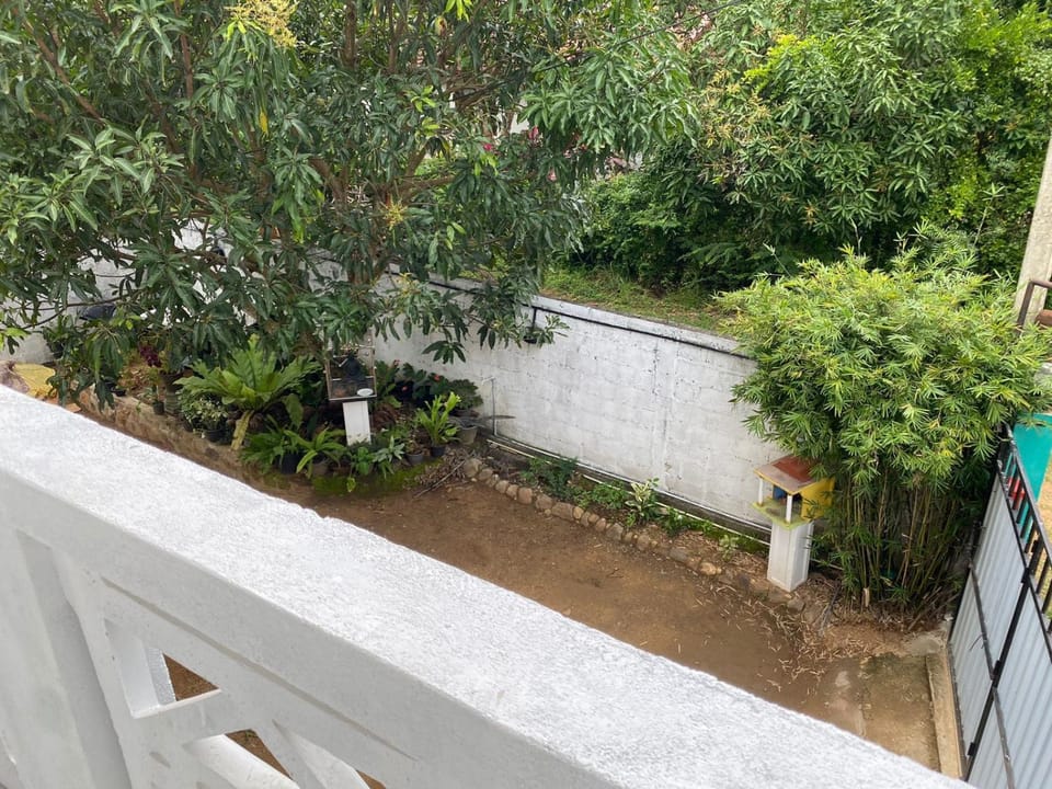 Spring, Day, Garden, Garden view