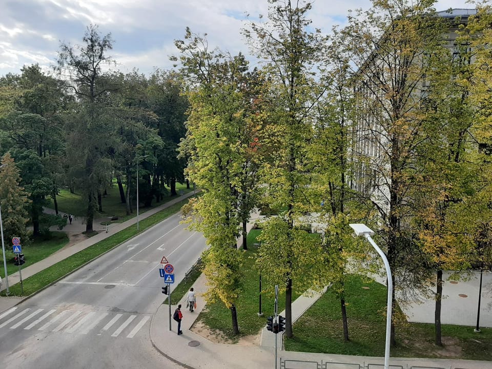 City view
