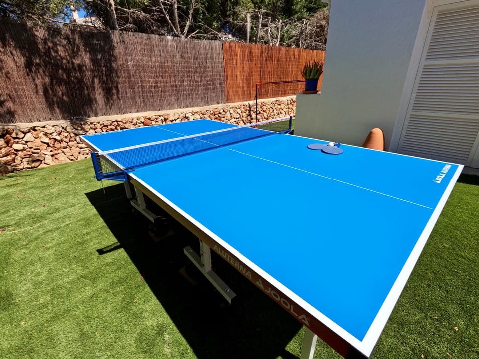 Table tennis, Table tennis