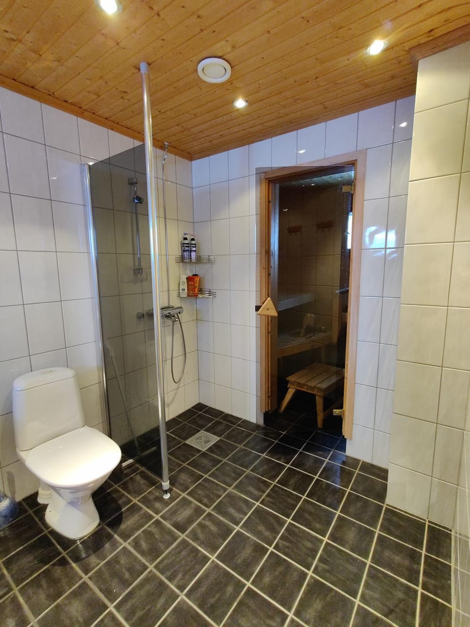 Shower, Toilet
