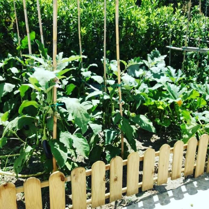 Casa Vacanza M&C Ischia House in Forio