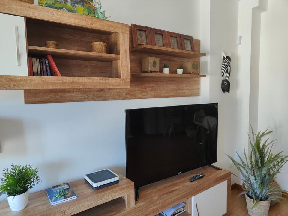 TV and multimedia