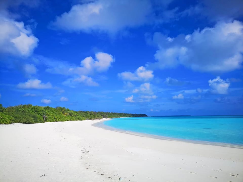 Natural landscape, Beach