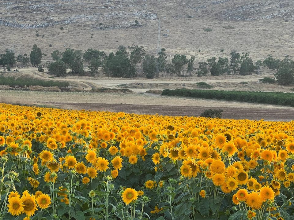 Property building, Natural landscape