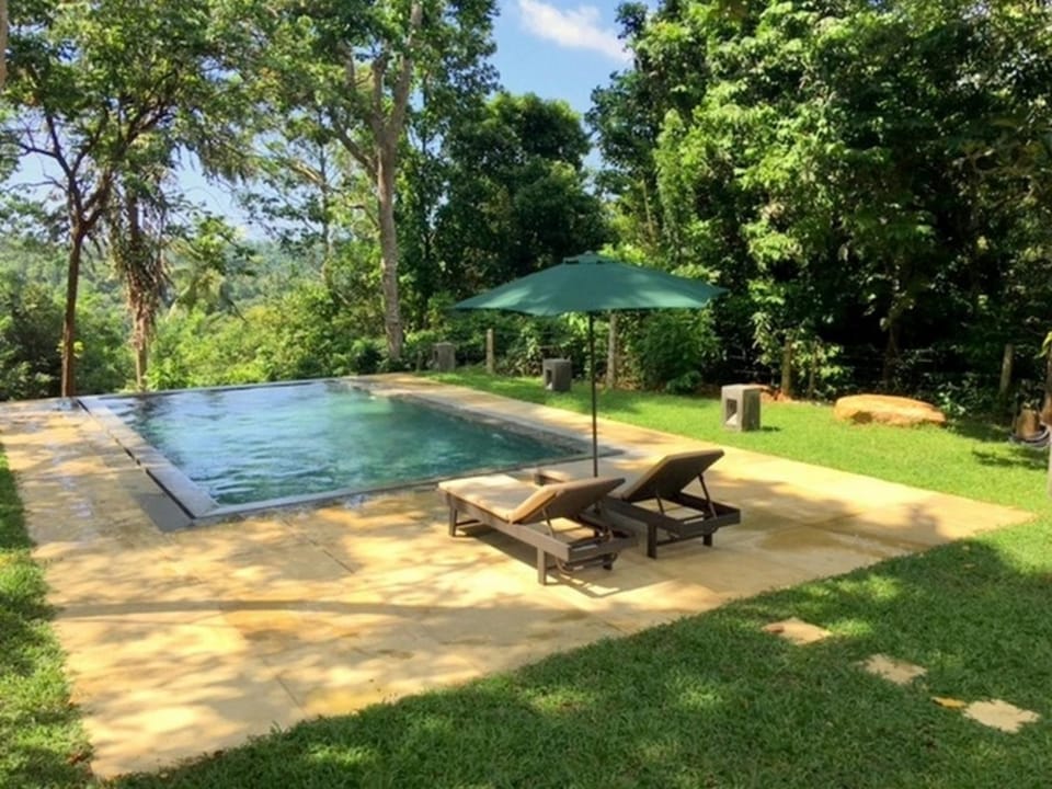Day, Natural landscape, Garden, Garden view, Pool view, Swimming pool, sunbed