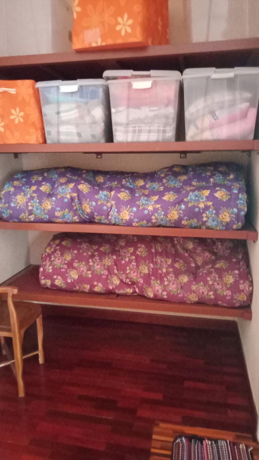 bunk bed