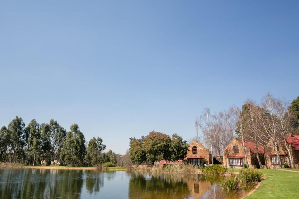 Lake view