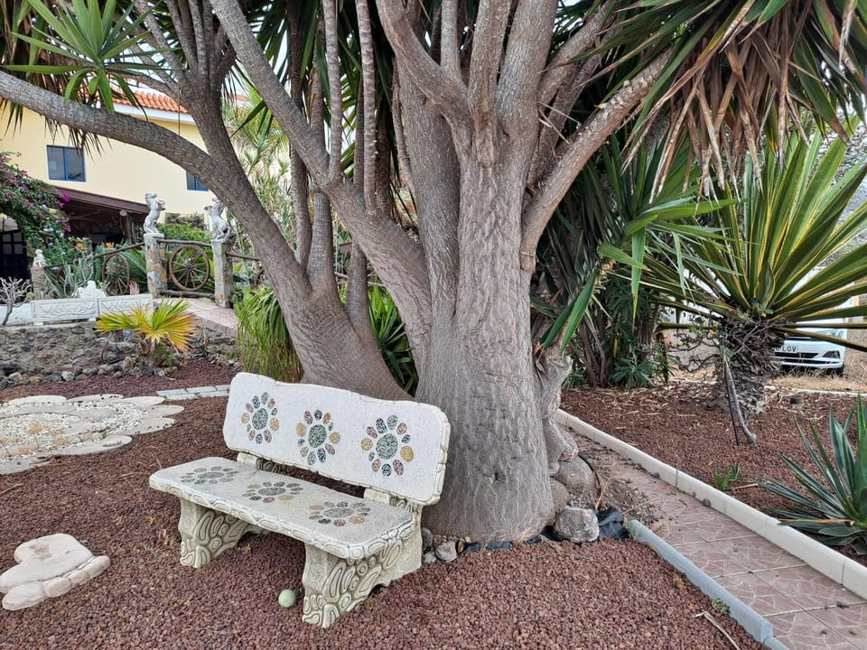 Tenerife apartment 100m2 CASA DE DON QUIJOTE with a terrace of 100m2 with a view of the ocean and Teide volcano and a garden of 600m2 Apartment in Canary Islands