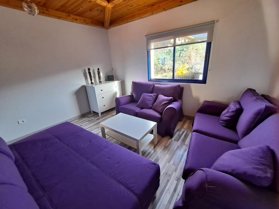 Tenerife apartment 100m2 CASA DE DON QUIJOTE with a terrace of 100m2 with a view of the ocean and Teide volcano and a garden of 600m2 Apartment in Canary Islands