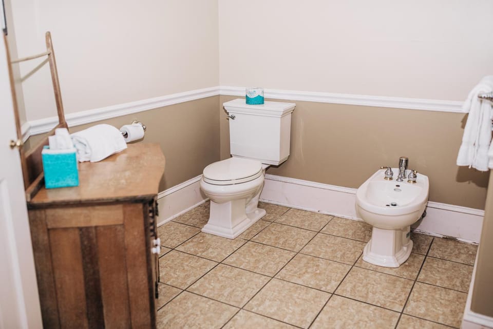 Toilet, Bathroom, bidet