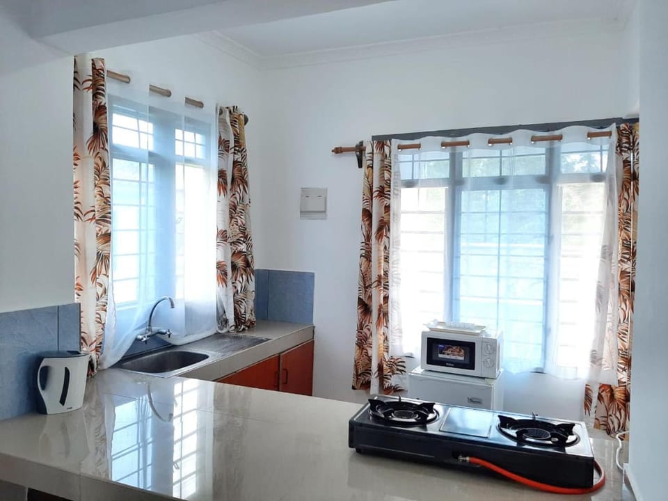 Kitchen or kitchenette, kitchen