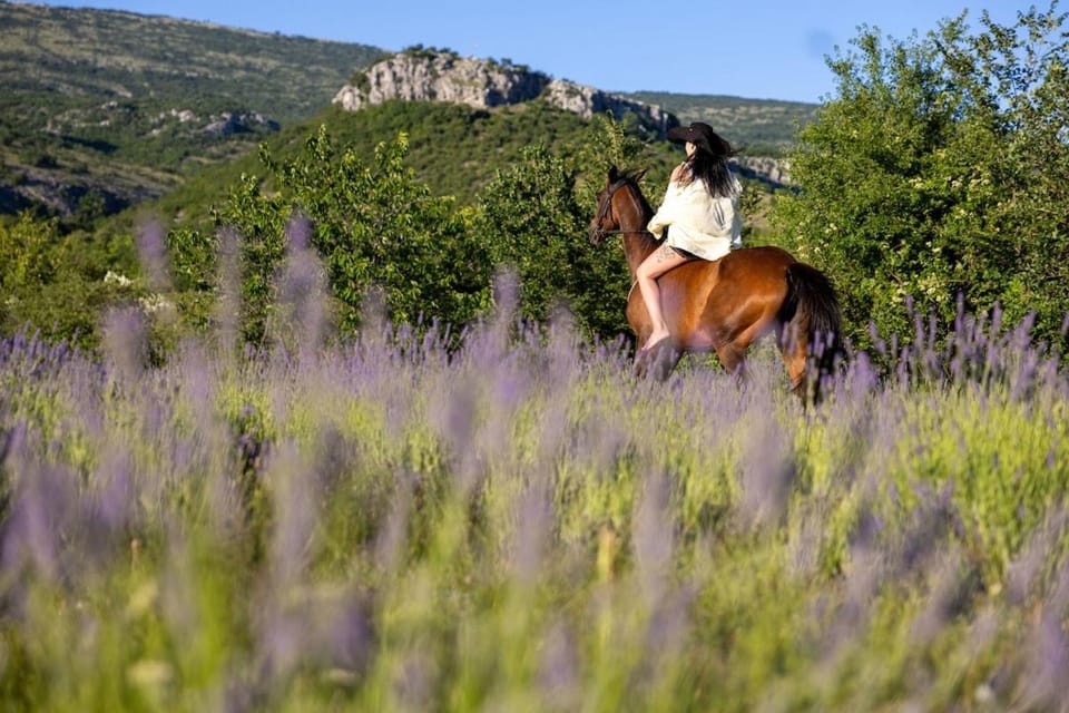 Three-Bedroom Holiday Home in Dabar Villa in Split-Dalmatia County