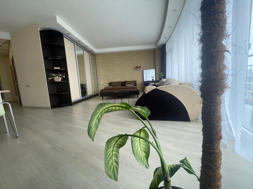 Living room, Photo of the whole room