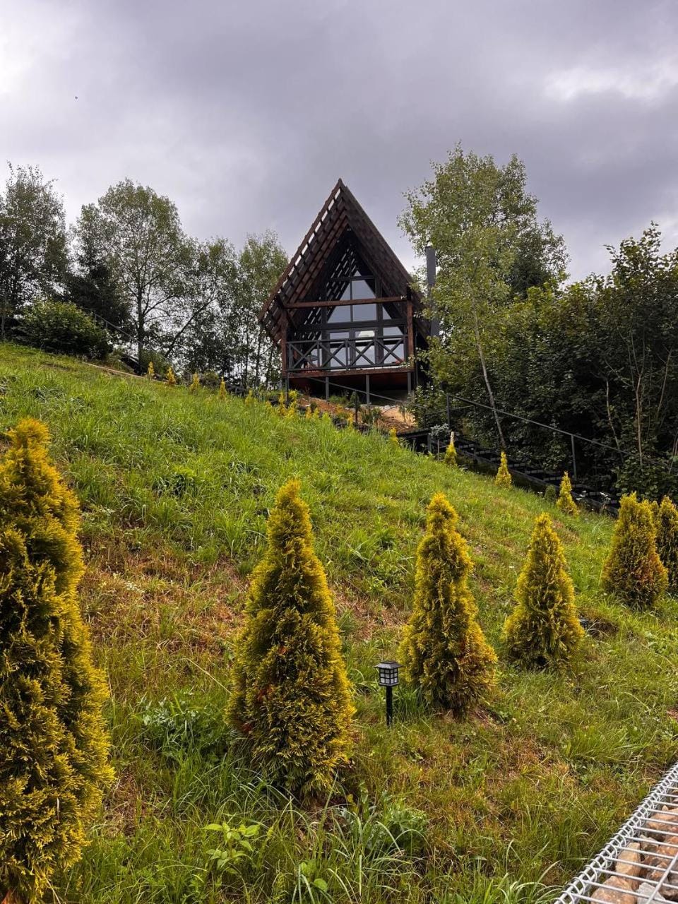 Day, Natural landscape, Garden view