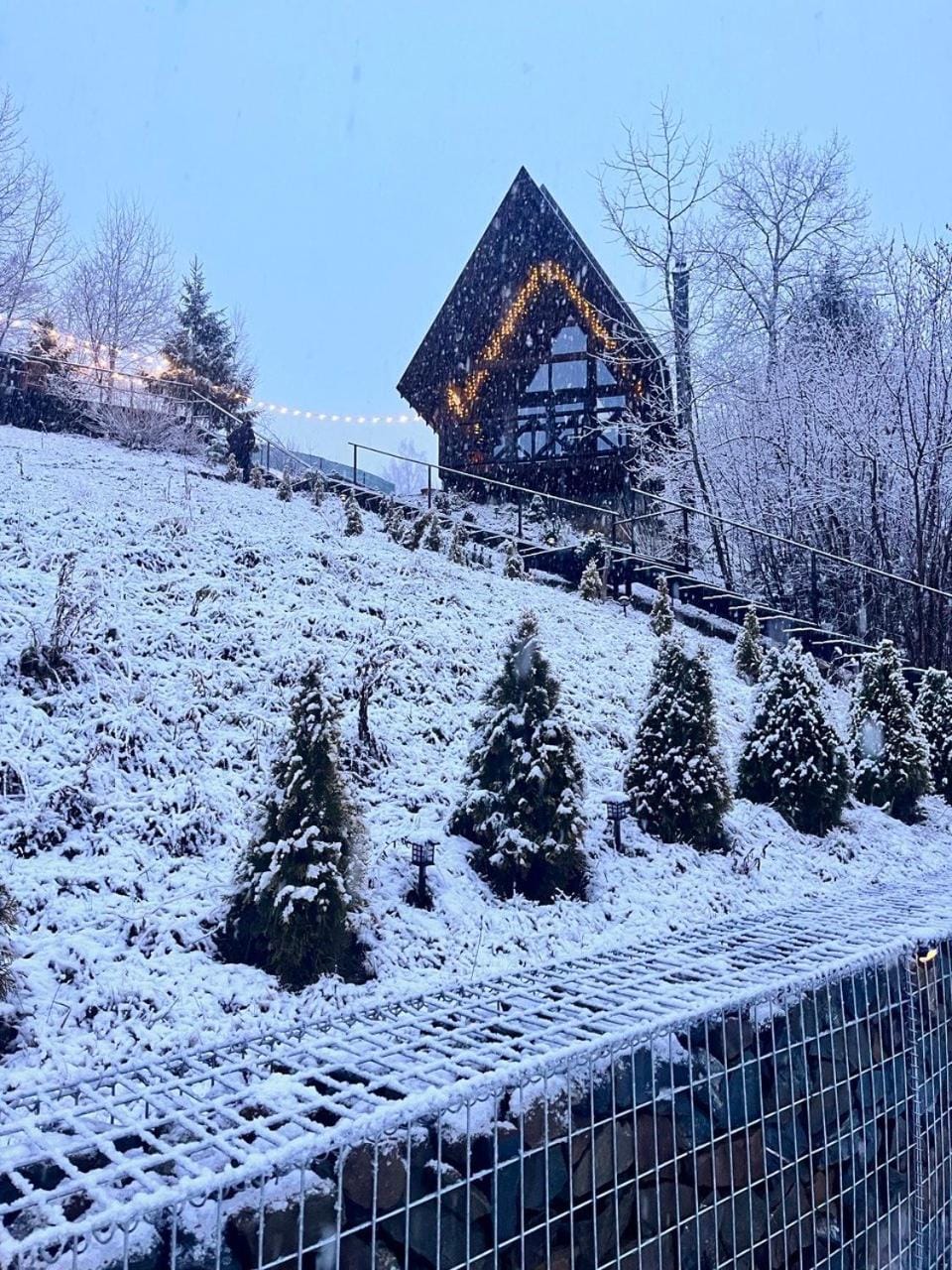 Property building, Day, Natural landscape, Winter
