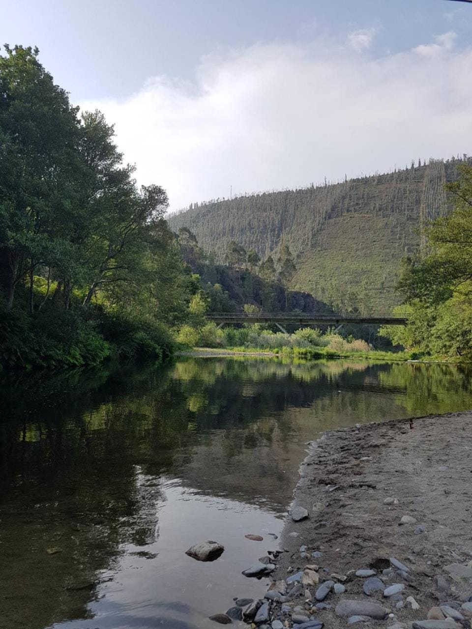 Natural landscape, River view
