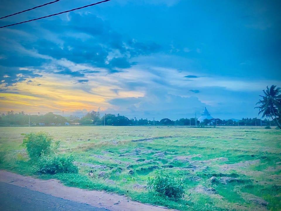 View (from property/room)