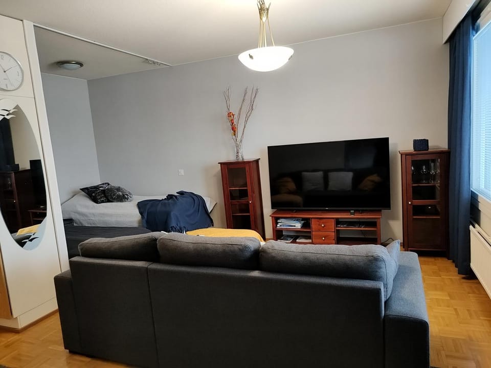 TV and multimedia, Living room