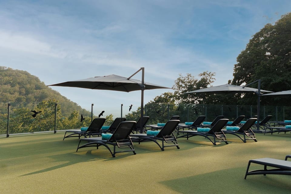 Mountain view, sunbed
