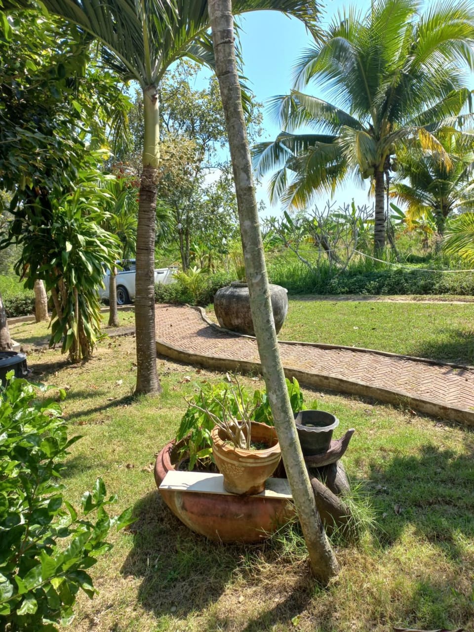 Natural landscape, Garden