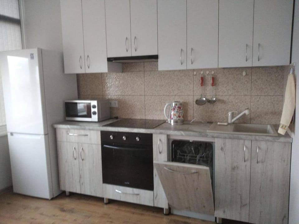 Kitchen or kitchenette, kitchen