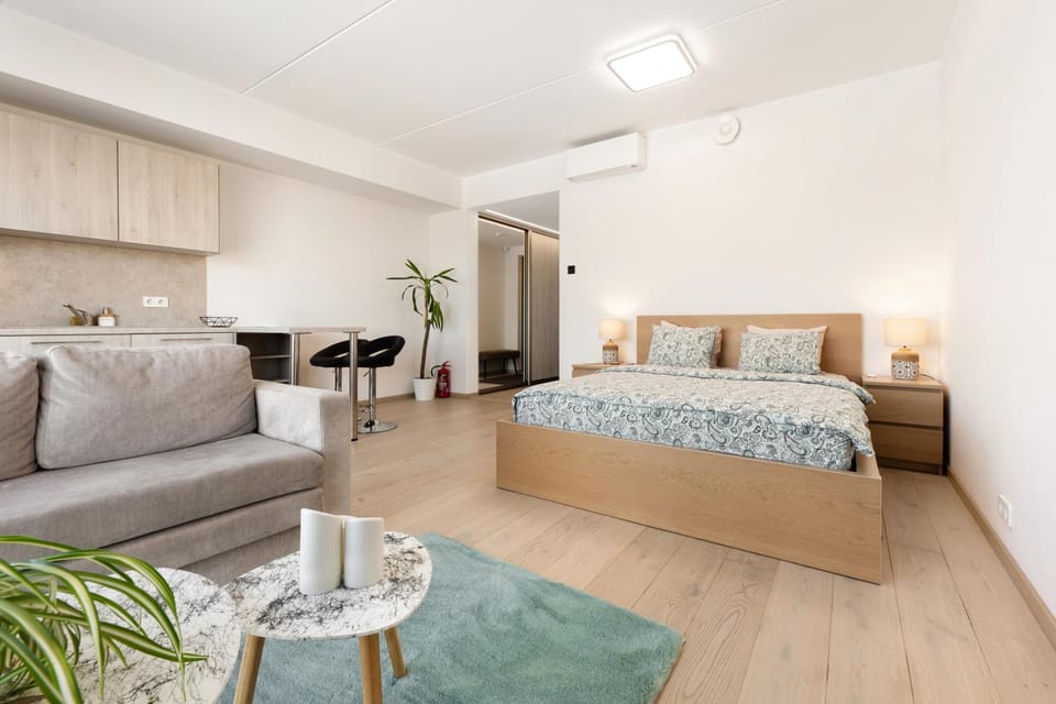 Bed, Kitchen or kitchenette, Living room, Photo of the whole room, Seating area, Bedroom