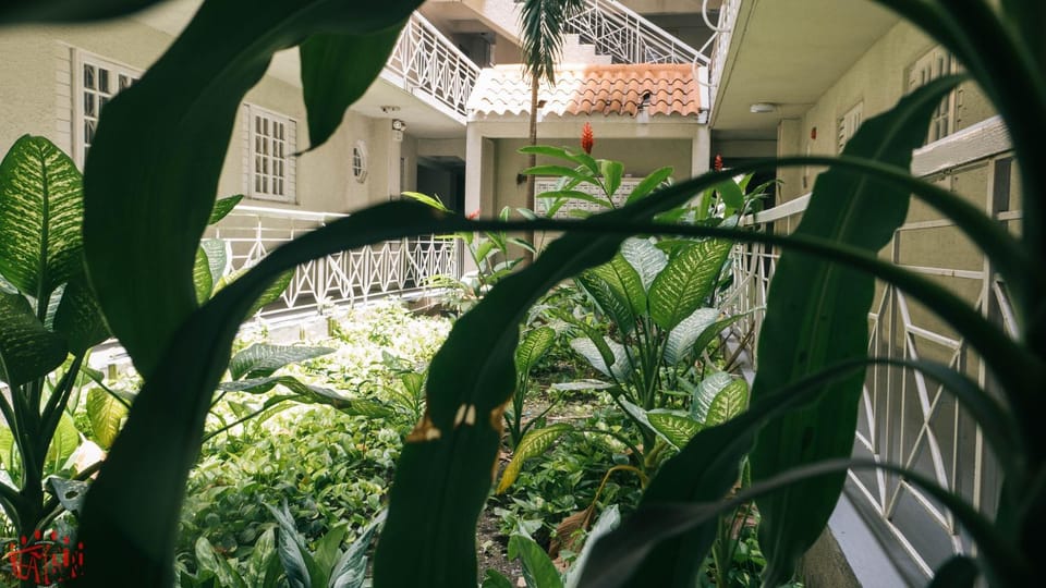 Property building, Garden