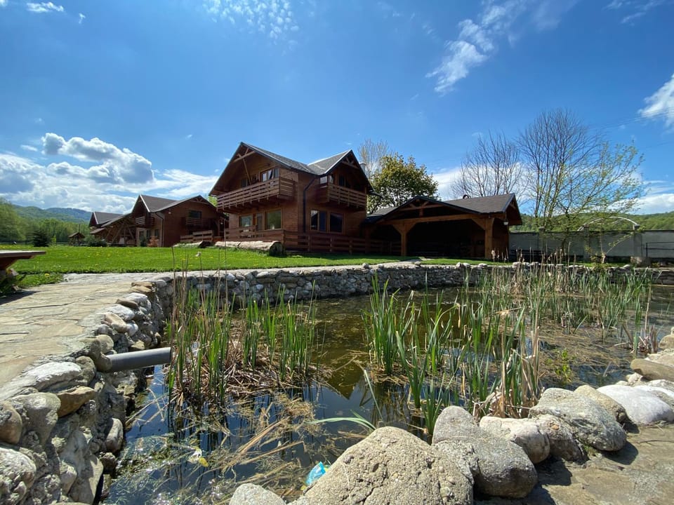 Day, Natural landscape, Garden