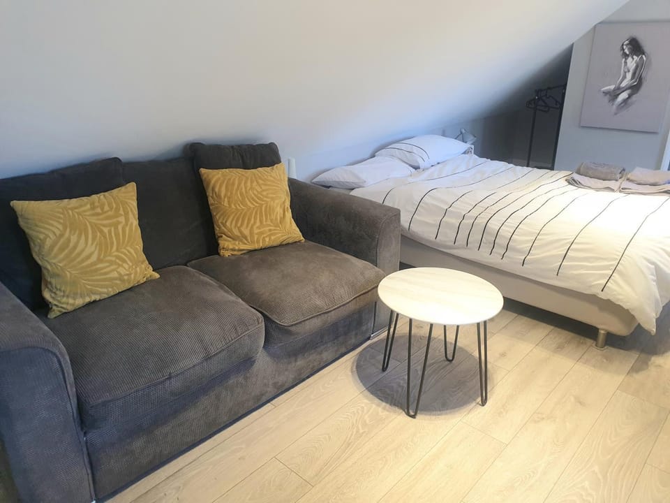 The Contemporary Studio Apartment in Bracknell