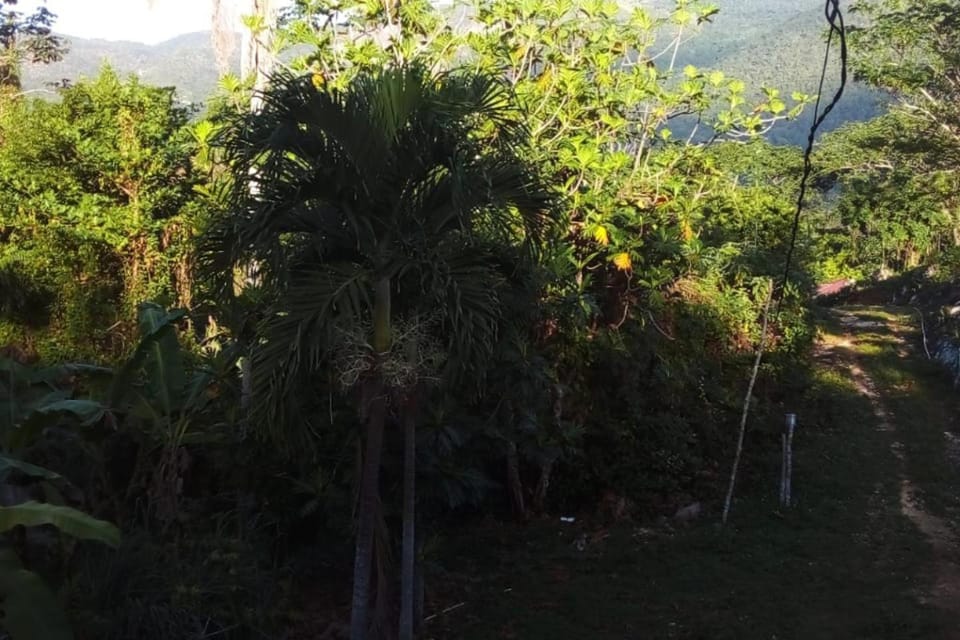 Lovely 1-Bed Cottage in St Catherine House in Saint Catherine Parish