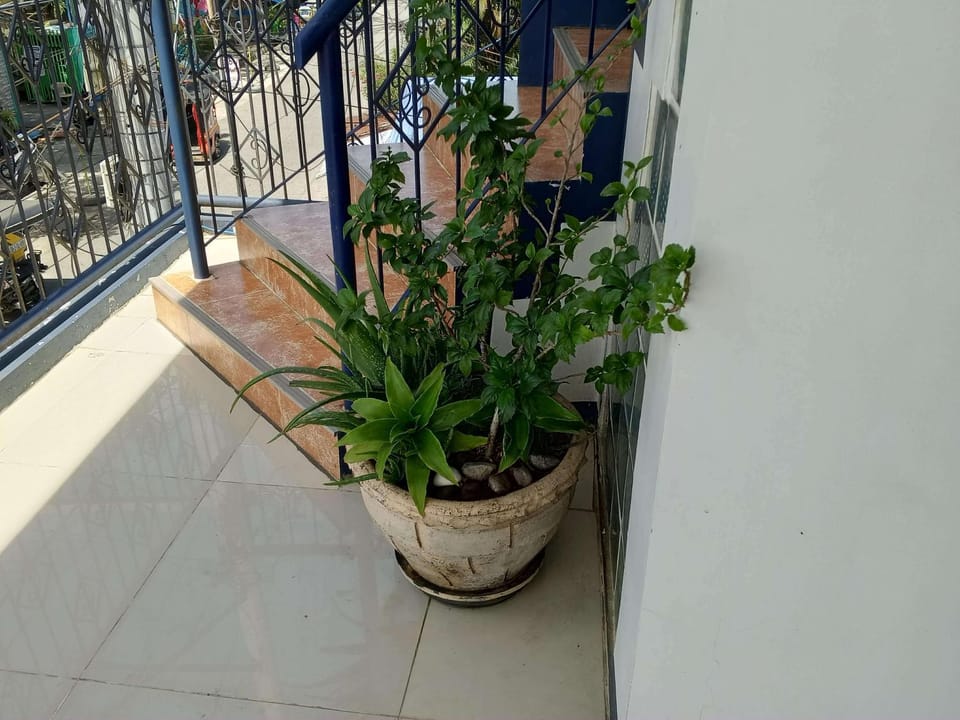 Remarkable 2-Bed rooms condo Unit in Davao City Apartment in Davao City