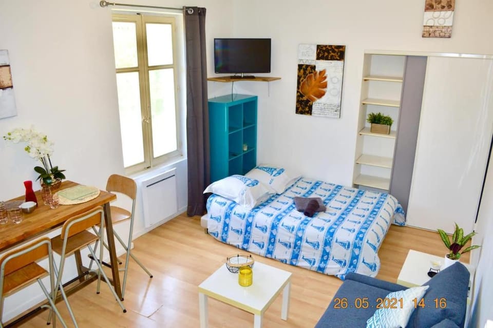 Studio, Bord de Lac, 4 Pers. Apartment in Auvergne-Rhône-Alpes
