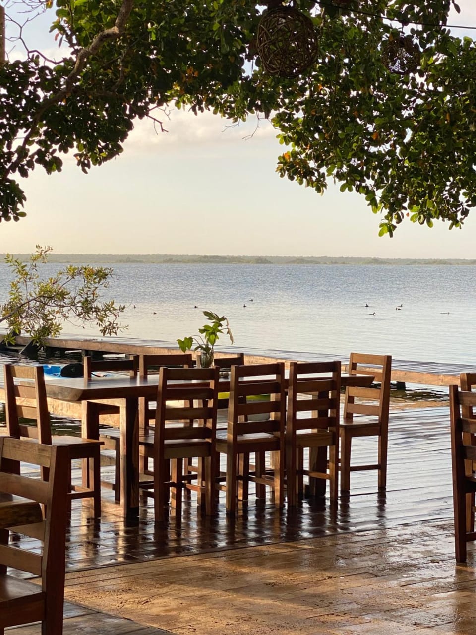 Xoot Ka Ana Villa Cielo Apartment in State of Quintana Roo