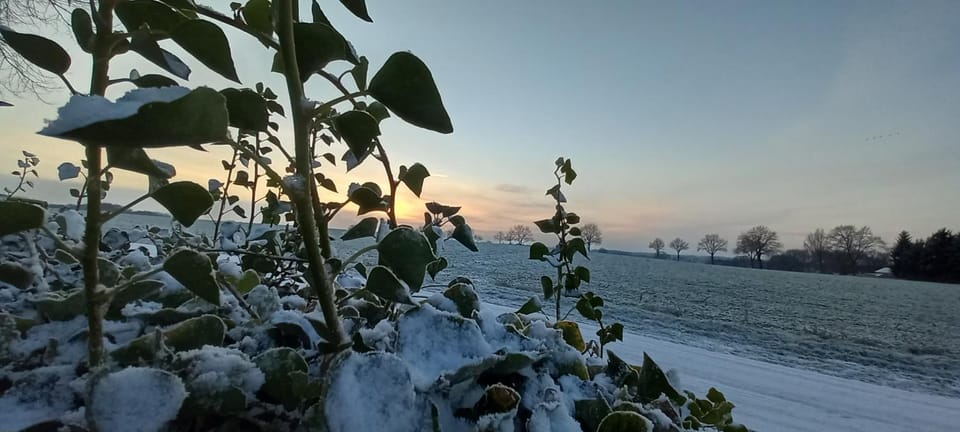 Sunrise
