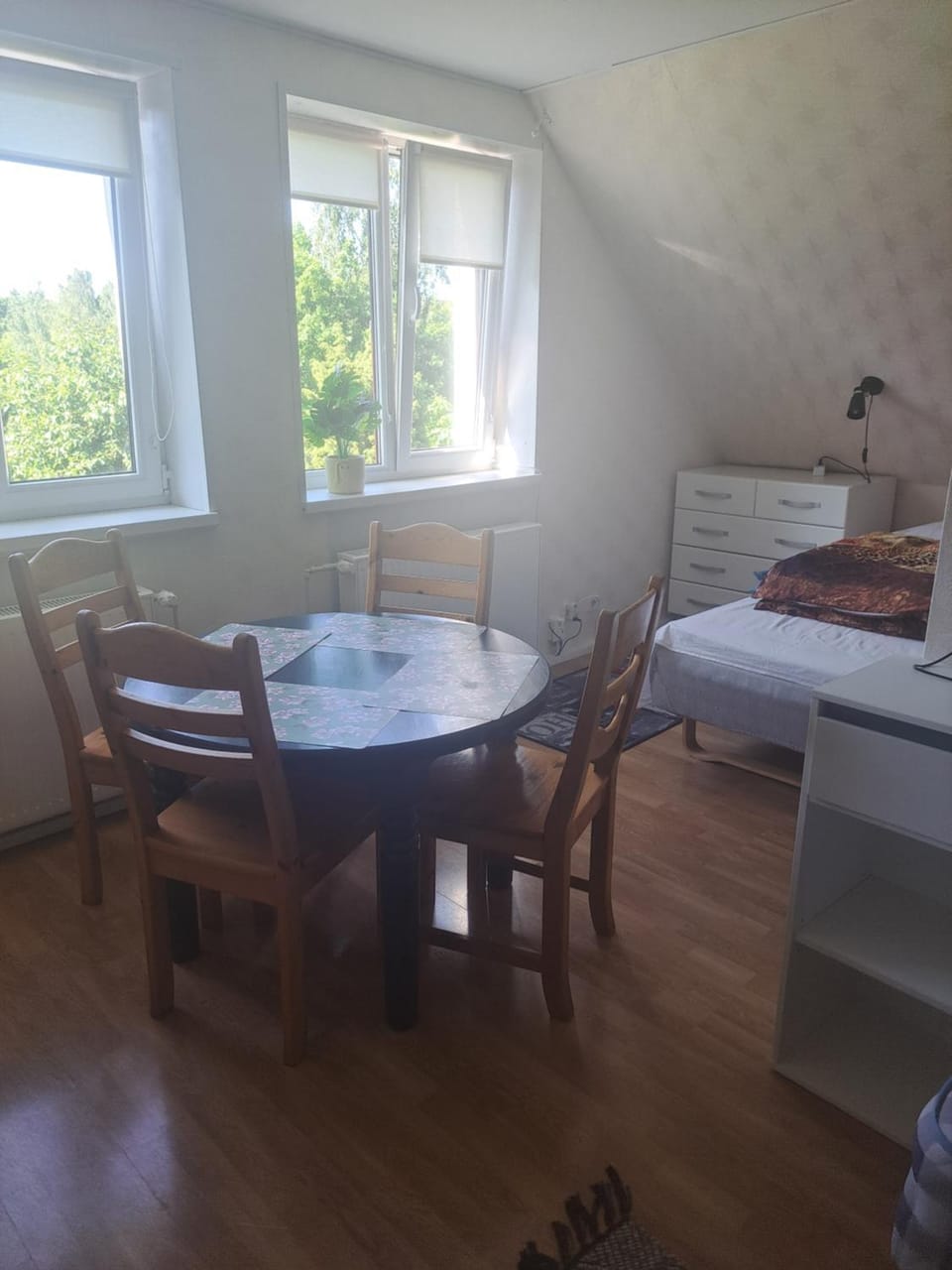 Kullerkupu Hostel Bed and Breakfast in Estonia