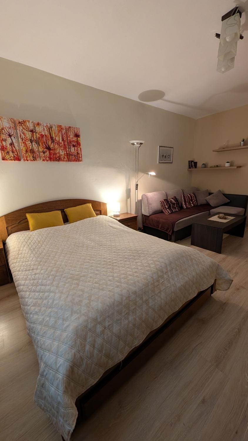 Bed, Living room, Photo of the whole room, Seating area, Bedroom