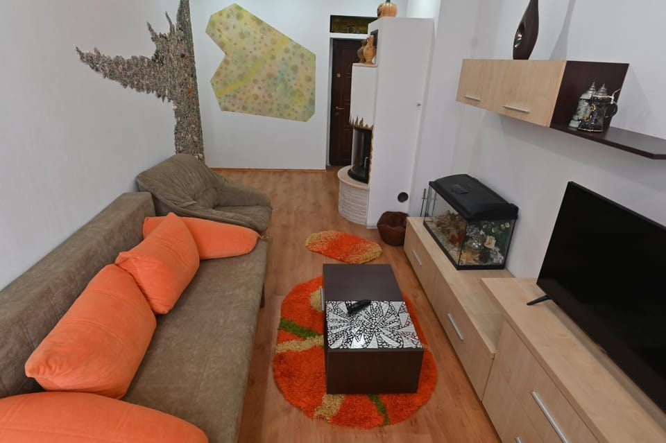 Apartament Camelia Apartment in Romania