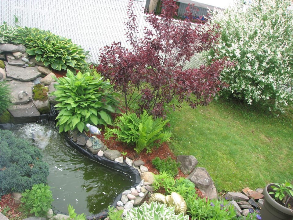 Garden, Garden view, Garden view, Inner courtyard view