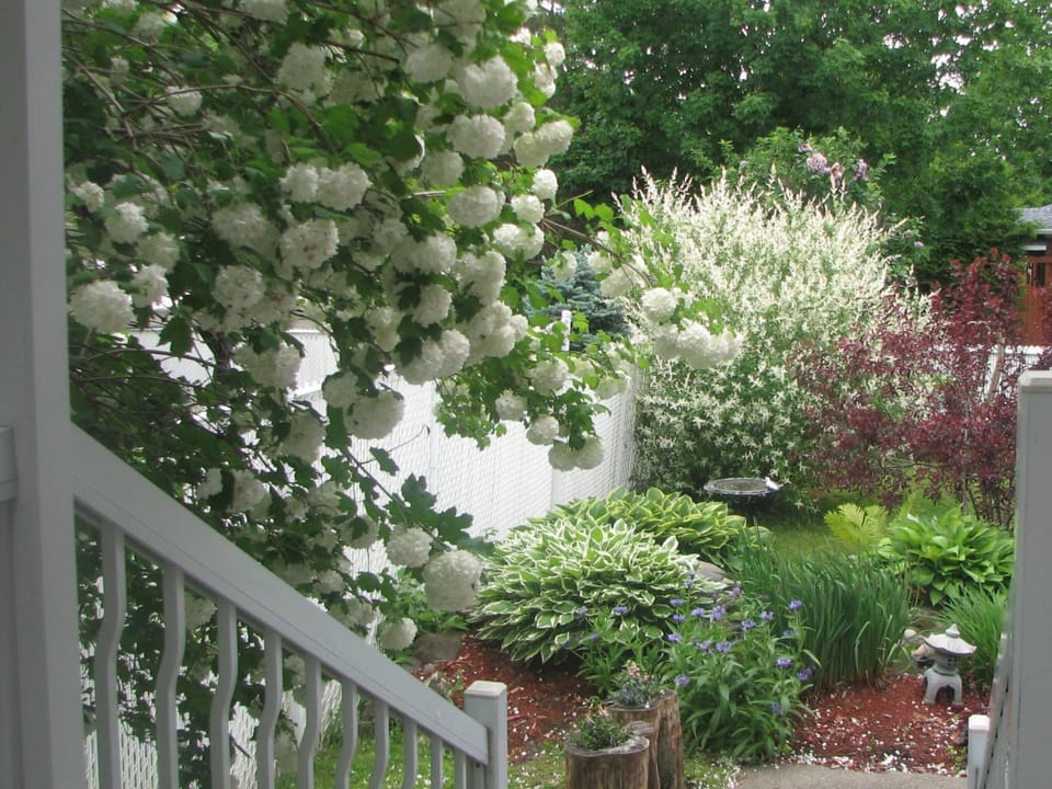 Garden, View (from property/room), Garden view