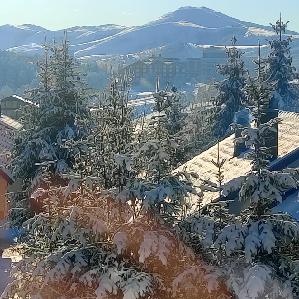 Apartman Vukajlović Apartment in Zlatibor