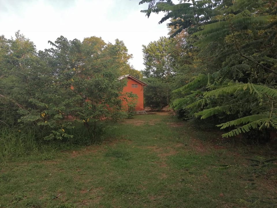 Garden, Garden
